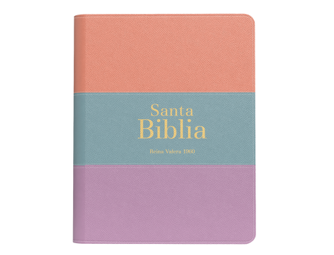 Image of Biblia RVR 1960 Bolsillo Símil Piel Tricolor Palo Rosa Celeste Lila