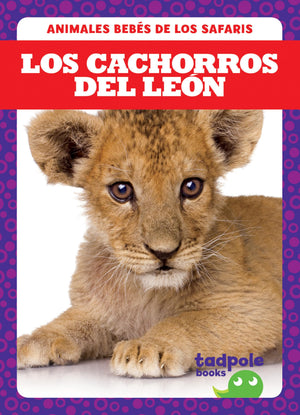 Los Cachorros del León