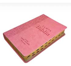 Image of Biblia RVR 1960 Letra Súper GiganteTapa dura Rosa Manual
