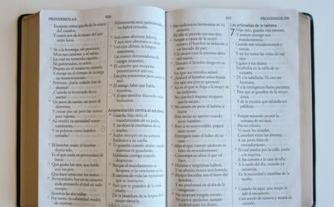 Image of Biblia RVR 1960 Letra Súper Gigante Negro Símil Piel