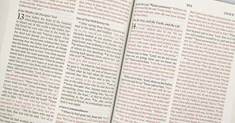 Image of ESV THINLINE BIBLE (TRUTONE, BROWN, ROYAL LION)