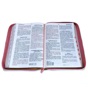 Biblia Letra Súper Gigante Símil Piel Tricolor Rosa Fucsia Lima