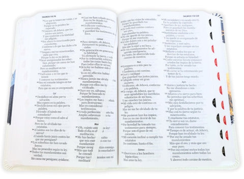 Image of Biblia RVR 1960 Tamaño Manual Letra Grande Colección Supreme Águila sobre Montañas Símil Piel