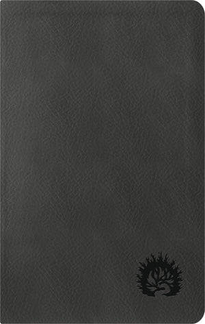 BIBLIA NBLA DE ESTUDIO DE LA REFORMA EDICION CONDENSADA SIMIL PIEL CHARCOAL