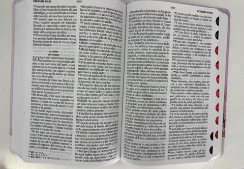Image of Biblia RVR 1960 Letra Grande Símil Piel Lila Jarrón