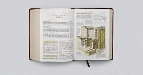 Image of ESV STUDY BIBLE (TRUTONE, CHESTNUT)