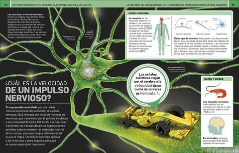 Image of ¡Increíble pero cierto! Cuerpo Humano