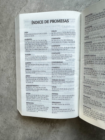 Image of Biblia RVR 1960 Promesas Negro Tapa Dura Concordancia