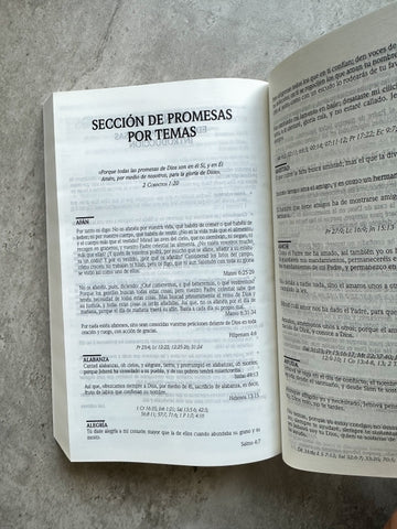 Image of Biblia RVR 1960 Promesas Negro Tapa Dura Concordancia