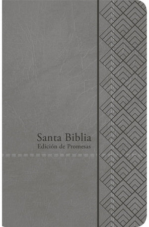 Biblia RVR 1960 Promesas Letra Grande Tamaño Manual Gris Imitación Piel