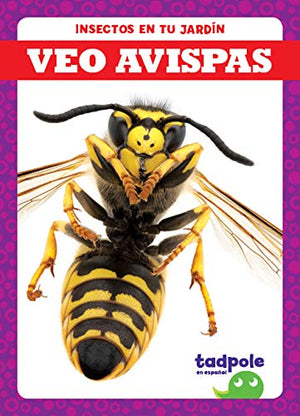 Veo Avispas