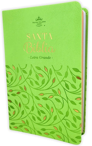 Image of Biblia RVR 1960 Tamaño Manual Letra Grande 12 pt SÍmil Piel Rosa Azul con Cierre e Índice Bitono