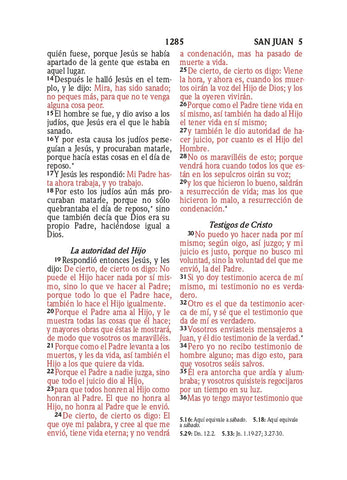 Image of Biblia RVR 1960 Compacta Símil Piel Flores Azul Verde