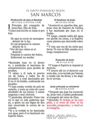 Image of Biblia RVR 1960 Letra Súper Gigante Símil Piel Salvia Claro