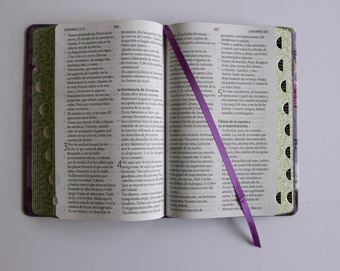 Image of Biblia RVR 1960 Letra Gigante Tapa Dura Flores Moradas Cantos Pintado Índice