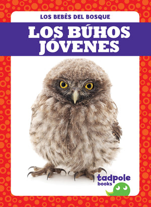 Los Búhos Jóvenes