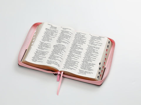 Image of BIBLIA RVR 1960 LETRA GIGANTE TRICOLOR CAFE ROSA MARIPOSAS SIMIL PIEL CON INDICE CON CIERRE