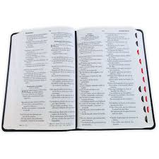 Image of Biblia RVR 1960 Tamaño Manual Letra Grande Colección Supreme Negro León Cruces Símil Piel