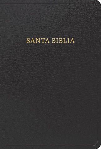 Image of Biblia RVR 1960 Tamaño Manual Símil Piel Negra con Índice