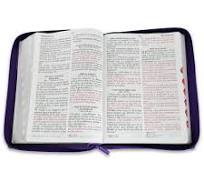 Biblia RVR 1960 Letra Gigante Tricolor Lila Morado Negro Símil Piel con Índice y Cierre
