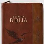 Biblia RVR 1960 Letra Grande Tamaño Manual Floral Mariposas Símil Piel con Índice y Cierre