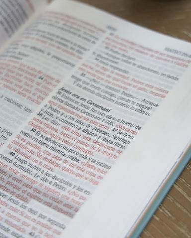 Image of Biblia NTV de Promesas Edición para Mujeres Jóvenes Tapa Dura