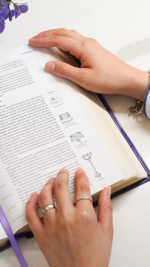 Biblia NBLA para el Estudio Inductivo Piel  Interior a dos Colores Morado Comfort Print