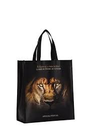 BOLSA TOTE BAG GRANDE A TODO COLOR LEON DE JUDA