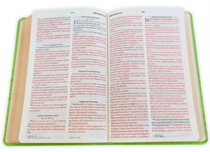 Biblia RVR 1960 Tamaño Manual Letra Grande 12 pt SÍmil Piel Rosa Azul con Cierre e Índice Bitono