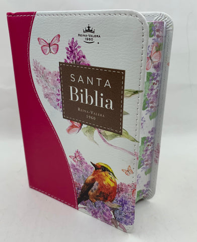 Image of Biblia RVR 1960 Bolsillo Turquesa Fucsia Símil Piel