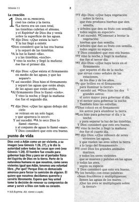 Image of Biblia NVI de Estudio de la Vida Diaria Piel Negro
