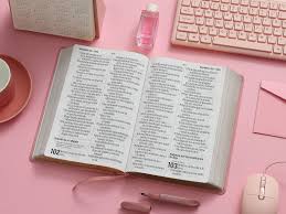 Image of Biblia RVR 1960 Letra Súper GiganteTapa dura Rosa Manual