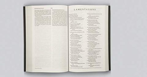 Image of ESV THINLINE BIBLE (TRUTONE, BROWN, ROYAL LION)