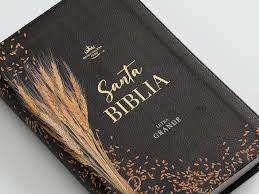 Image of Biblia RVR 1960 Tamaño Manual Letra Grande Colección Supreme Negro Trigo Símil Piel