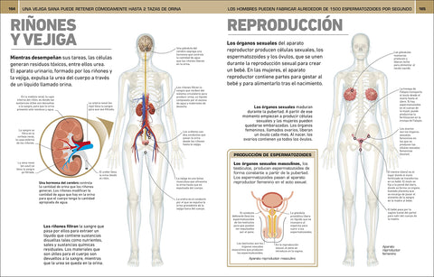 Image of ¡Increíble pero cierto! Cuerpo Humano