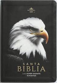 Image of Biblia RVR 1960 Letra Súper Gigante 095czti LSPG PJR Símil Piel Tricolor Rosa Fucsia Lima Súper Gigante