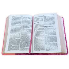 Image of Biblia RVR 1960 Letra Grande Tamaño Manual Bicolor Rosa Rosa Símil Piel