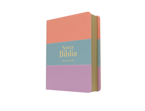 Image of Biblia RVR 1960 Bolsillo Símil Piel Tricolor Palo Rosa Celeste Lila