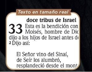 Biblia RVR 2020 Letra Grande Brújula Rústica