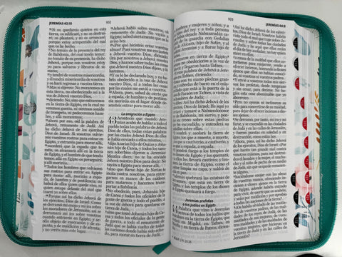 Image of Biblia RVR 1960 Letra Grande ManuaL 12 Puntos Cierre Jardin Turquesa Índice Canto Floral