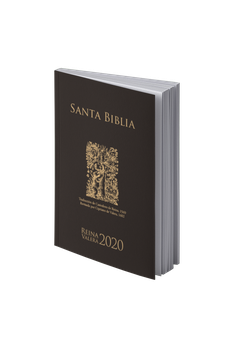 Image of Biblia RVR 2020 Negra Rústica