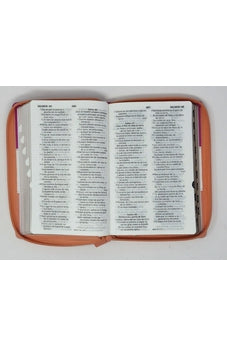 Image of Biblia RVR 1960 Letra Grande Tamaño Manual Tricolor Guinda Crema Melón con Cierre con Índice