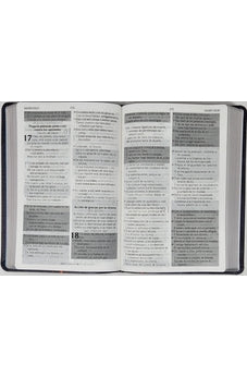 Image of Biblia RVR 1960 de Promesas Letra Gigante Negro Naranja Verde Simil Piel