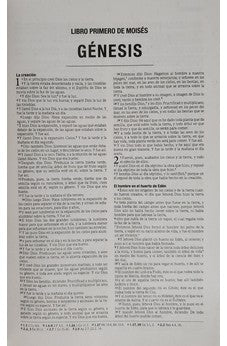 Image of Biblia RVR 1960 Económica Regalo de Dios Rústica