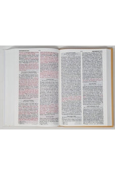 Image of Biblia RVR 1960 Letra Grande Tamaño Manual Tapa Flex Duotone Amarillo Blanco