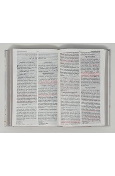 Image of Biblia RVR 1960 Letra Grande Tamaño Manual Tapa Flex Pastel Rama Flores