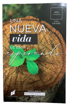 Biblia RVR 1960 Nuevo Testamento Letra Grande una Nueva Vida