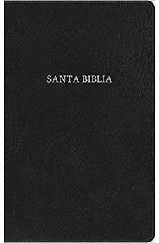 Biblia NVI Ultrafina Negro Piel Fabricada