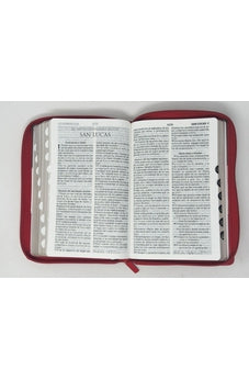 Image of Biblia RVR 1960 Letra Grande Tamaño Manual Tricolor Gris Crema Rojo con Cierre con Índice